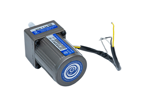 微型定速電機 微型定速電機